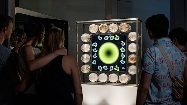 Personen vor einem Schaufenster betrachten nachts ein leuchtendes Medienkunstwerk